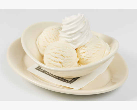 Bowl of Vanilla Ice Cream