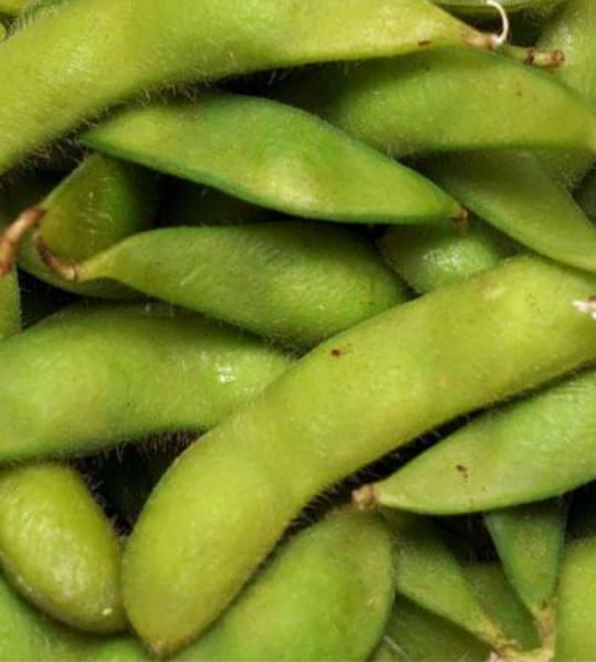 Edamame