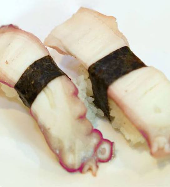 Octopus / Tako